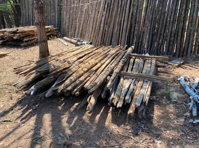 Perche de cèdre pour clotûre rustique de 10 à 12 pieds de long