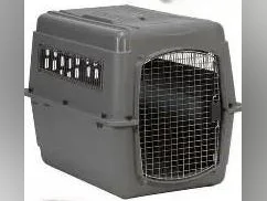 Cages de transport - chien