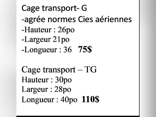 Cages de transport - chien thumbnail 2