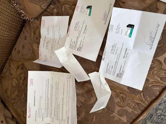 Chaton en bonne santé, stérilisée et vaccinée thumbnail 3