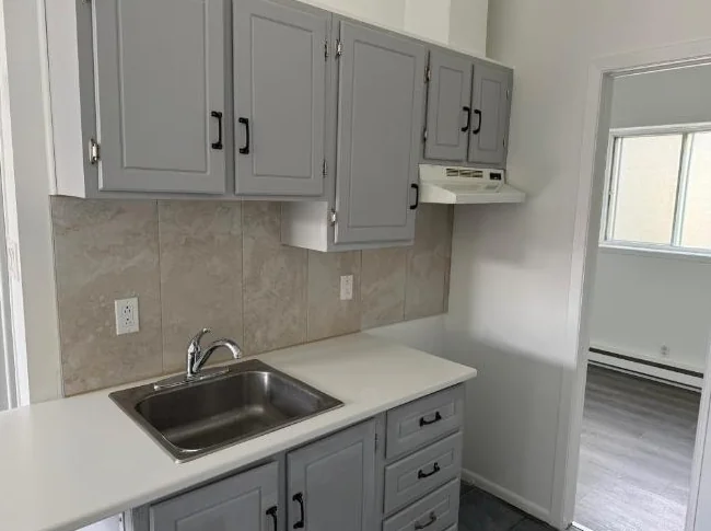 3 1/2 logement thumbnail 6