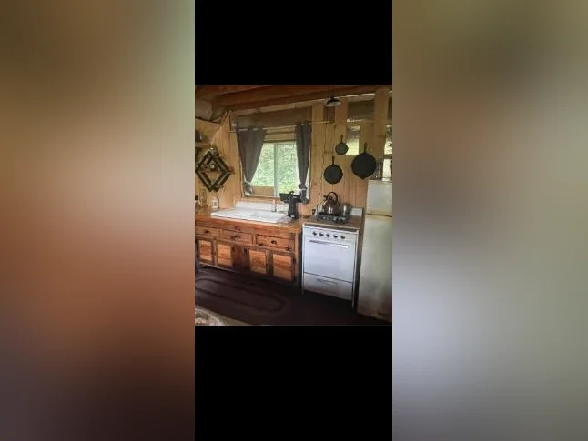 0.75 acre de nature avec chalet off grid thumbnail 2
