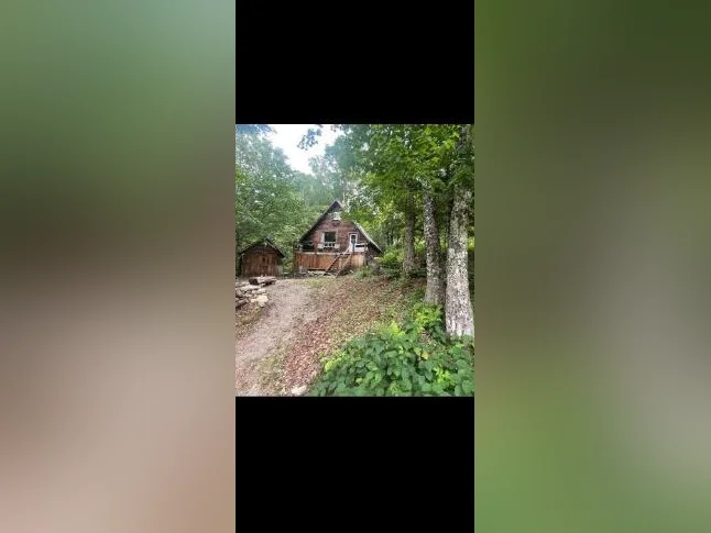 0.75 acre de nature avec chalet off grid thumbnail 9