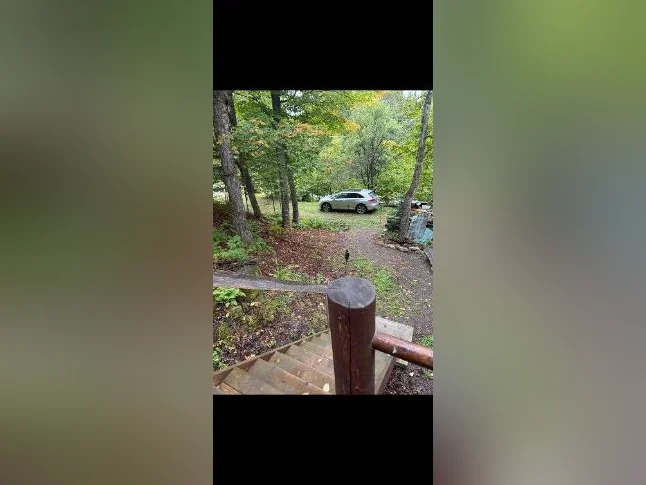 0.75 acre de nature avec chalet off grid thumbnail 7