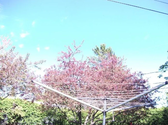 Séchoir à linge parapluie d'extérieur rotatif. thumbnail 3