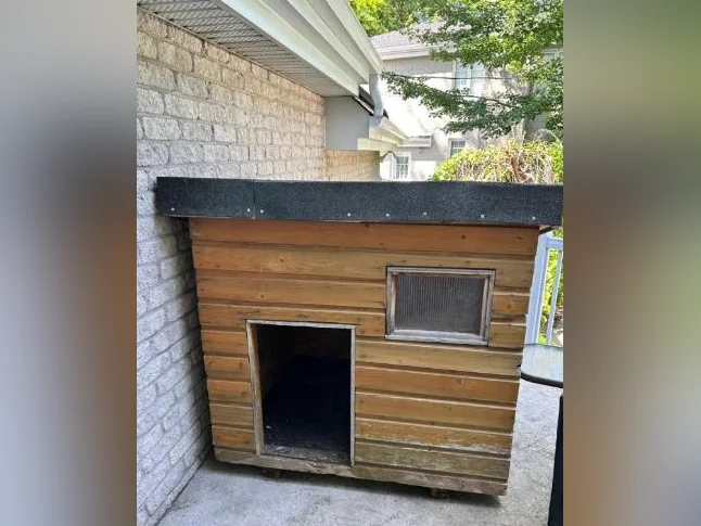 NICHE EN BOIS POUR CHIEN
