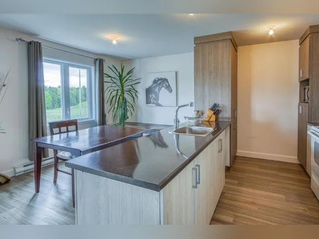 Logement 4 1/2 a louer a St-Pierre Baptiste thumbnail 2