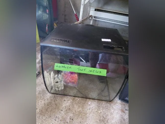 aquarium Fluval flex 15 gallons (57 litres)