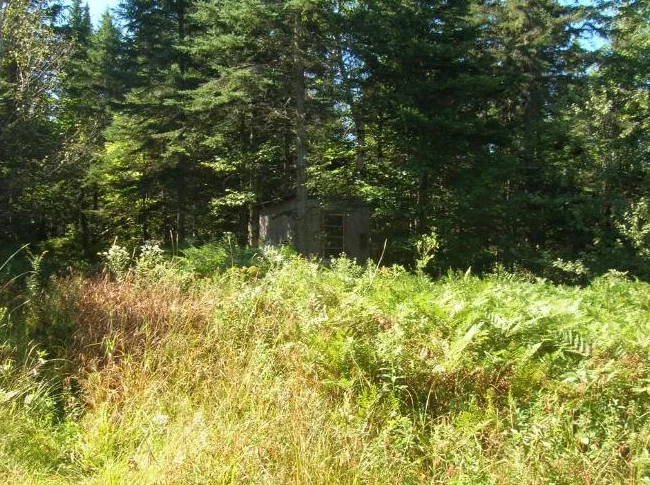 Terrain de villégiature – 10,5 acres thumbnail 7