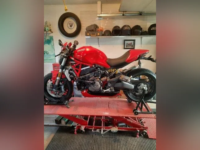 ducai a vendre