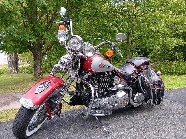 Harley davidson springer1998