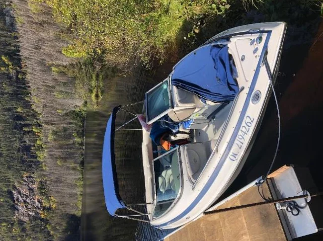 Bateau semi-hors-bord Crownline 202 br thumbnail 6