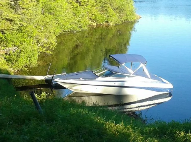 Bateau semi-hors-bord Crownline 202 br thumbnail 3