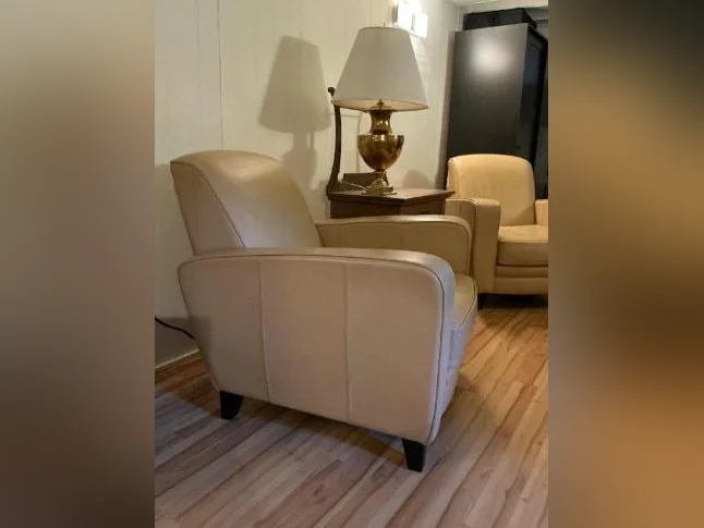 Fauteuil cuir thumbnail 2
