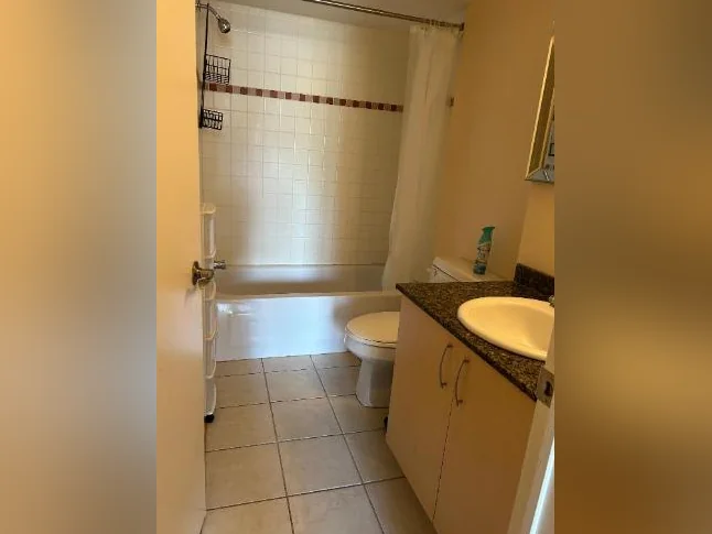 Condo meublé tout inclus 4 1/2 centre-ville de Montréal 2490$/mois du 1er aout 2026 thumbnail 6