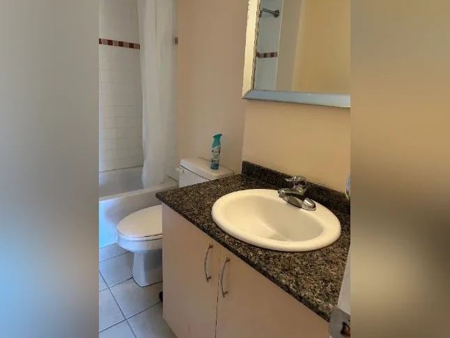 Condo meublé tout inclus 4 1/2 centre-ville de Montréal 2490$/mois du 1er aout 2026 thumbnail 5