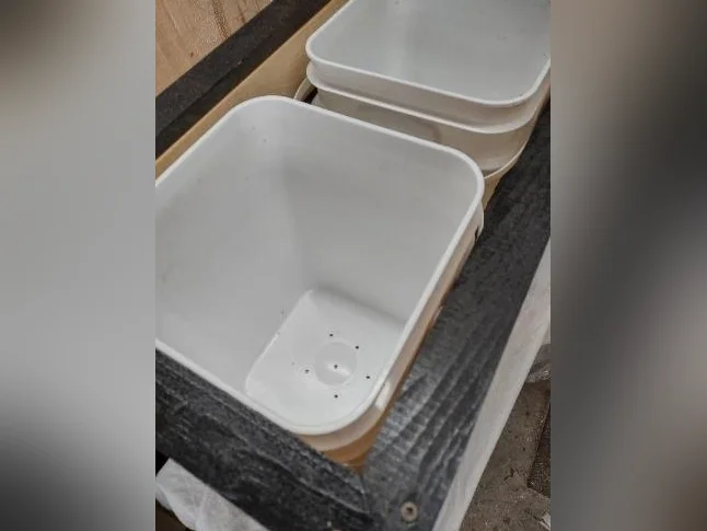 🔥 SPÉCIAL reste quelque kit de 4 seulement  : LE JARDIN À PETIT PRIX ! 🔥 thumbnail 5