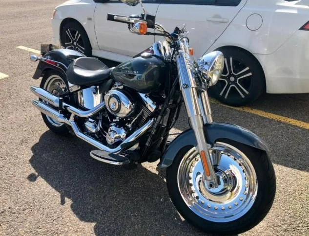 Harley fatboy abs thumbnail 4