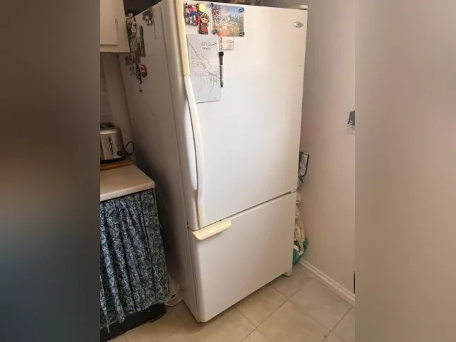 Frigo
