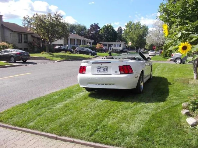mustang 2001 convertible thumbnail 4
