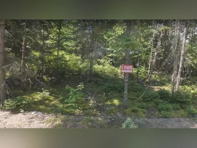 TERRAIN À VENDRE – PINE LAKE, SAINT-RAYMOND thumbnail 2