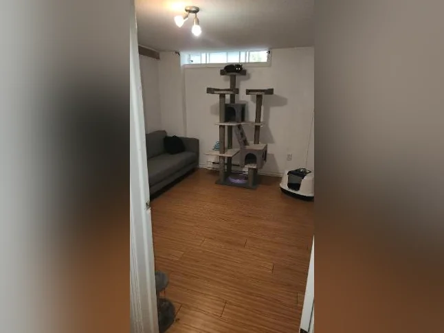 Appartement à louer thumbnail 7