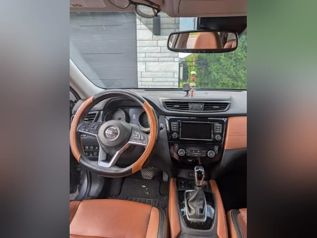 2020 Nissan Rogue SL AWD Platinum thumbnail 6