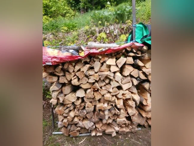 Bois de chauffage du tremble aussi sapin epinette thumbnail 2