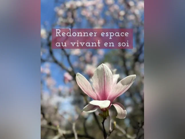 Soins de massothérapie & étirements