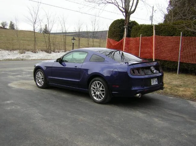 mustang thumbnail 4