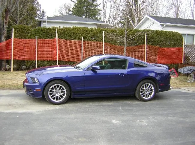 mustang thumbnail 3