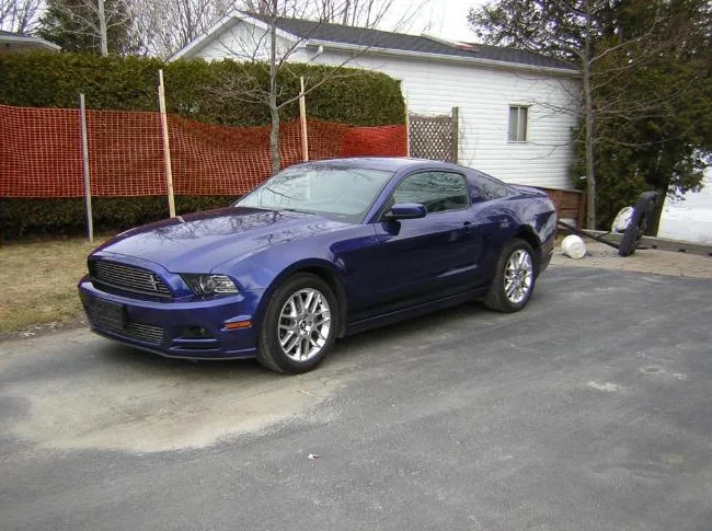 mustang thumbnail 2