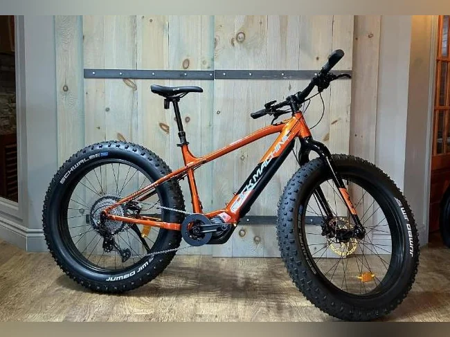 Vélo électrique à pneus surdimensionnés Rock Machine / Avalanche e70-26