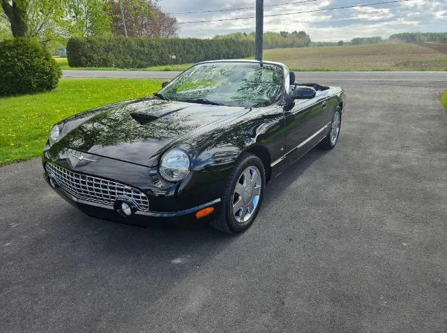 Ford Thunderbird 2003 thumbnail 6