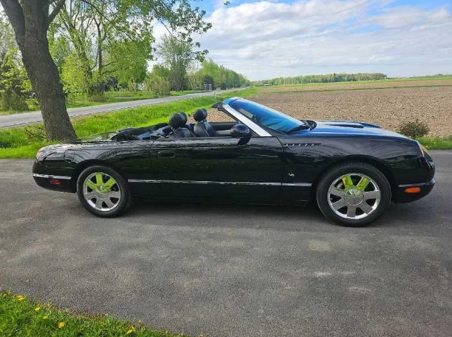Ford Thunderbird 2003