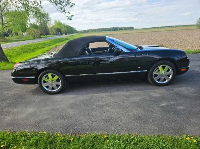 Ford Thunderbird 2003 thumbnail 2