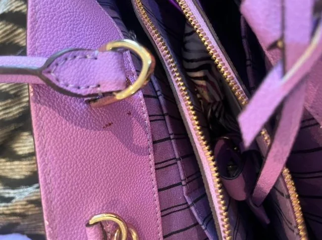 Saccoche Louis Vuitton mauve (copy) thumbnail 4