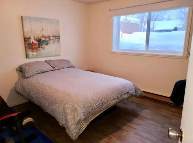 Logement centre-ville Victoriaville, 3 et demi  2 et demi, 1 et demi thumbnail 4