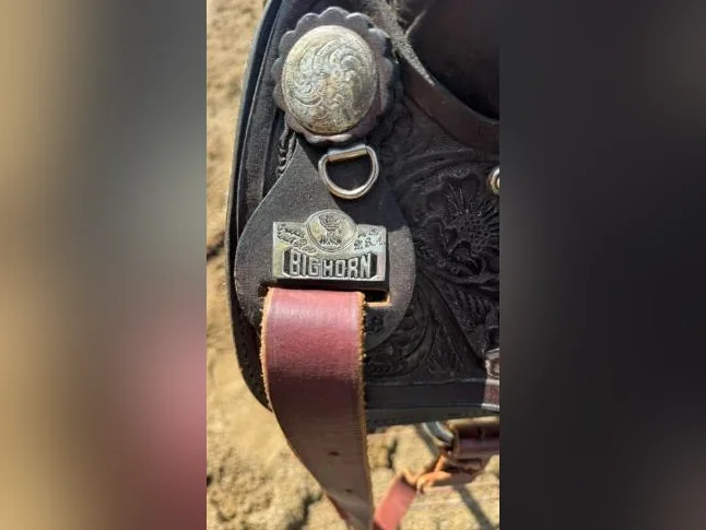 Selle western BigHorn 16" thumbnail 8