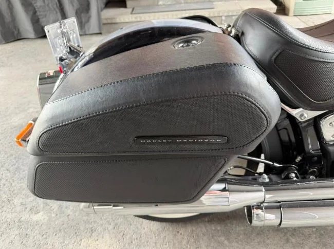 Harley Davidson Deluxe 2019 thumbnail 10