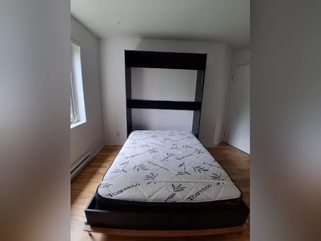 Lit mural avec matelas 54 pouces.