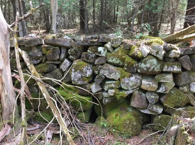 Roche rocaille. thumbnail 4