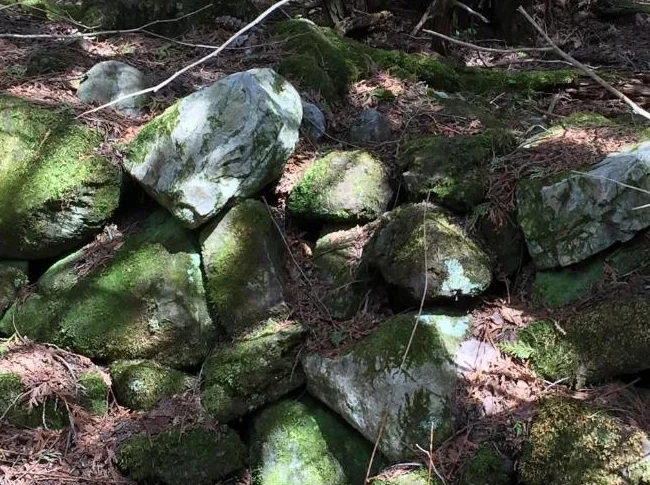 Roche rocaille. thumbnail 5