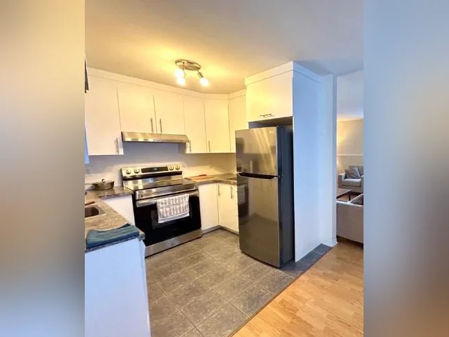 Condo supérieur 3 chambres à louer – Plateau / Hull thumbnail 3