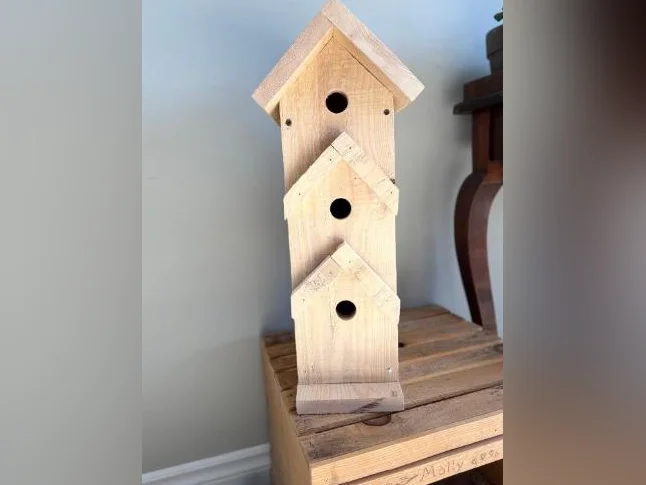 Nichoir en cèdre condo