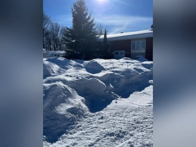À qui la chance Saint-Ambroise Très beau 4 1/2 près des écoles thumbnail 10