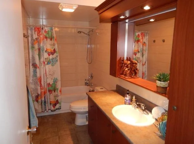 Beau grand 4 et demi de style condo thumbnail 10