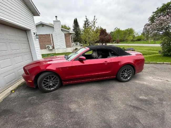 Mustang décapotable thumbnail 2