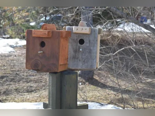 NICHOIR OISEAUX