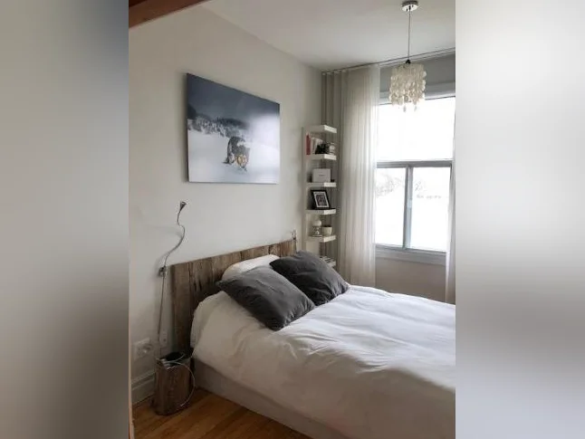 BEL APPARTEMENT - STYLE CONDO - DISPONIBLE POUR LE 1er JUILLET OU AVANT - SECTEUR ROSEMONT thumbnail 7